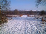DSCF1487