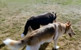 Kenya_Ozarn_03